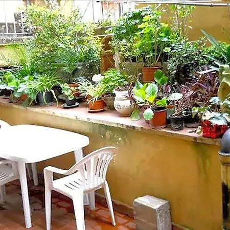 Stella\'S House
